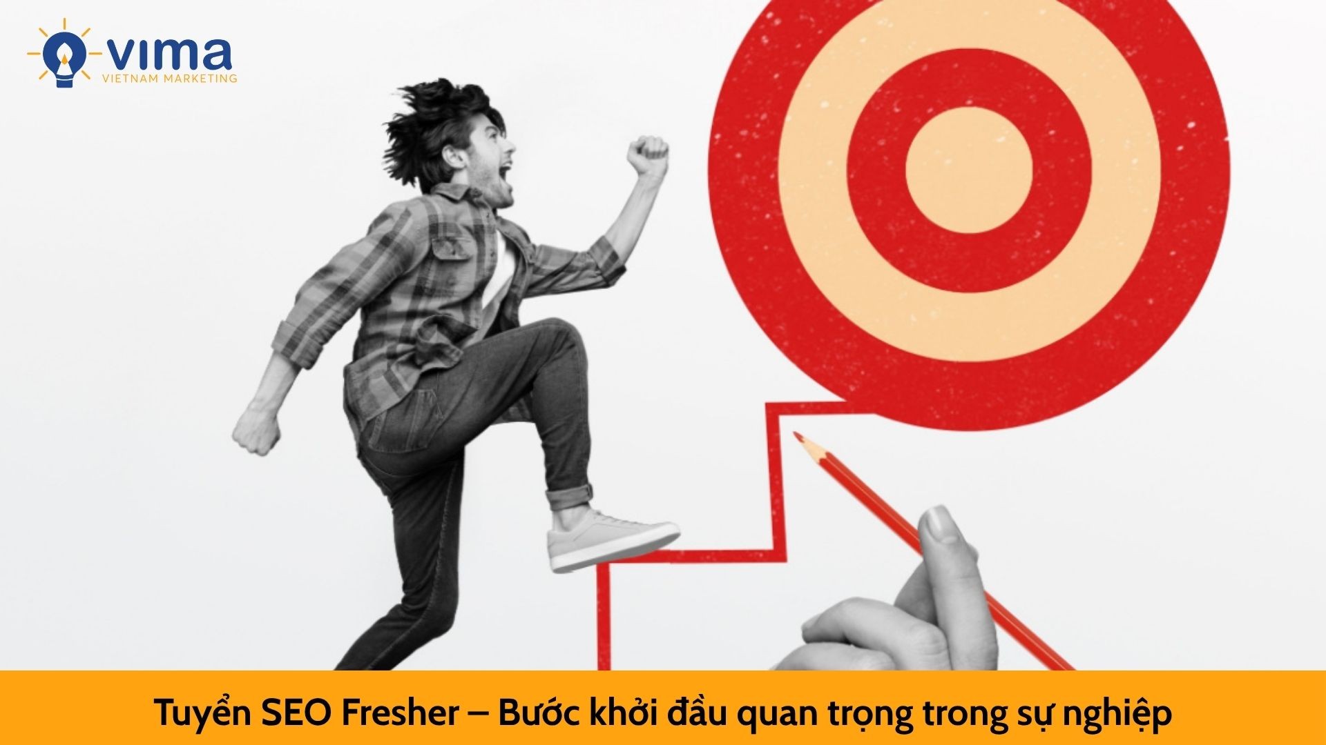  Tuyển SEO Fresher – Bước khởi đầu quan trọng trong sự nghiệp